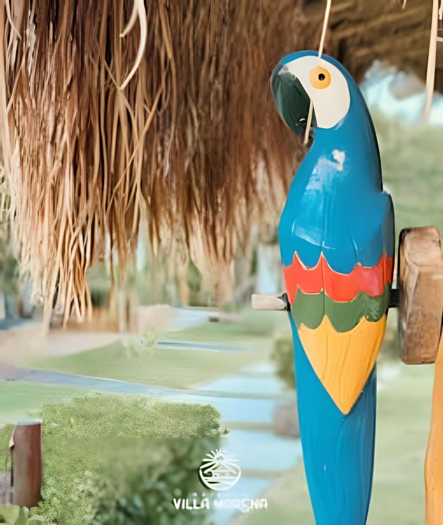 Pousada Villa Morena Pôrto de Pedras エクステリア 写真