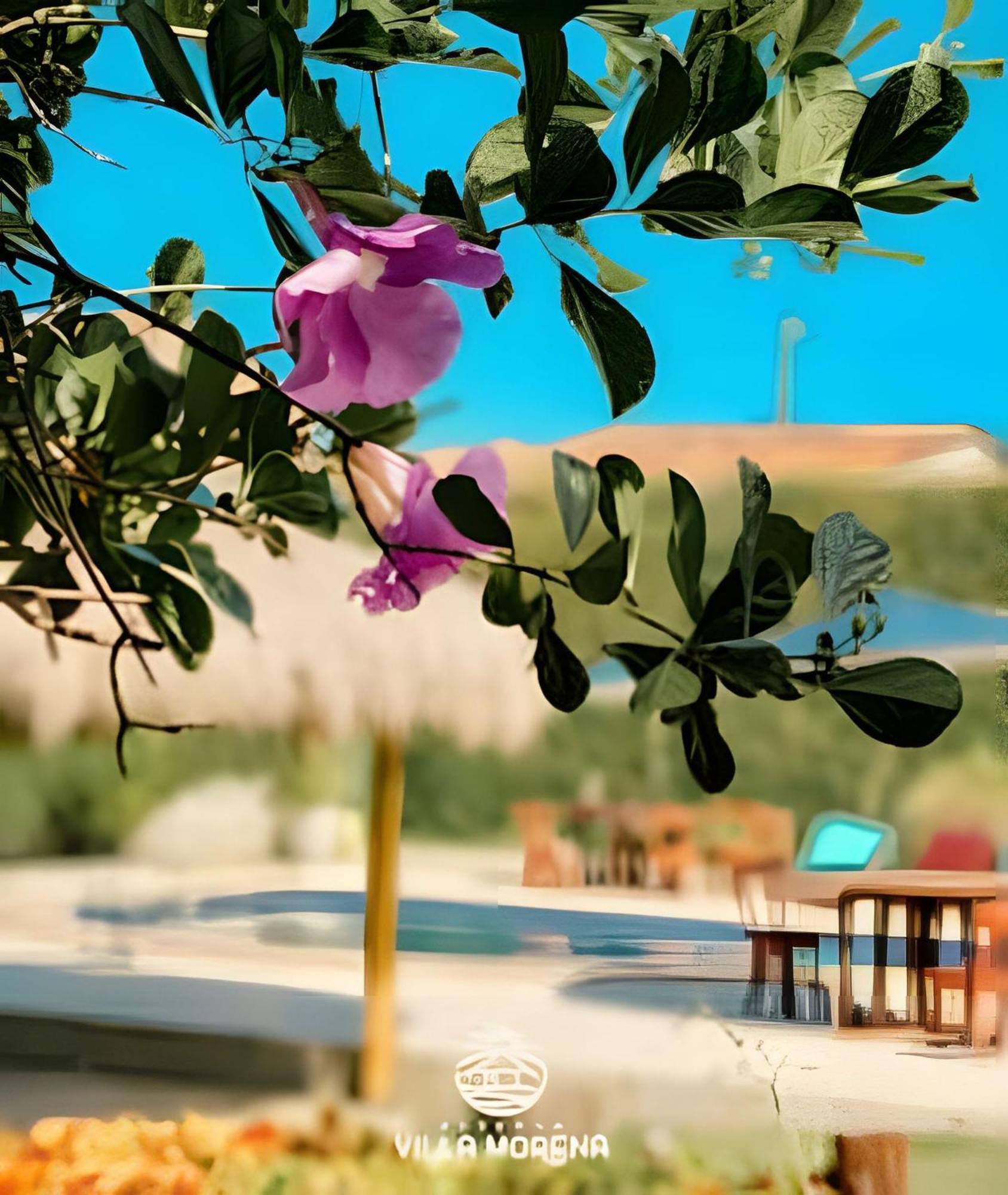 Pousada Villa Morena Pôrto de Pedras エクステリア 写真