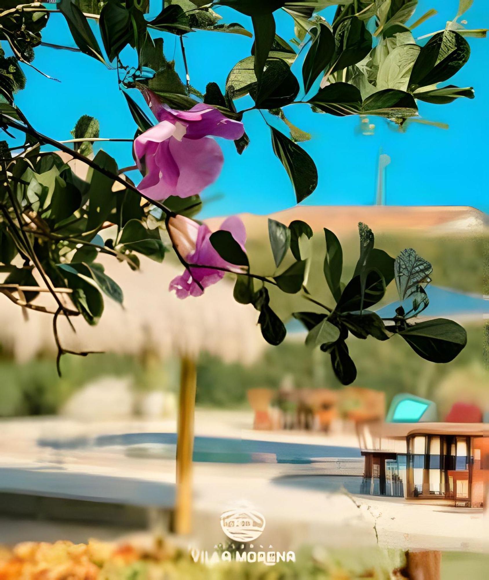 Pousada Villa Morena Pôrto de Pedras エクステリア 写真